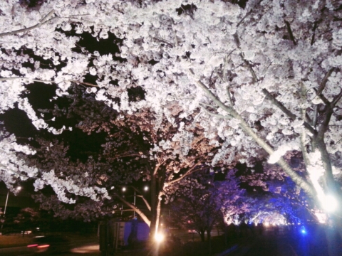 강변도시락 이미지