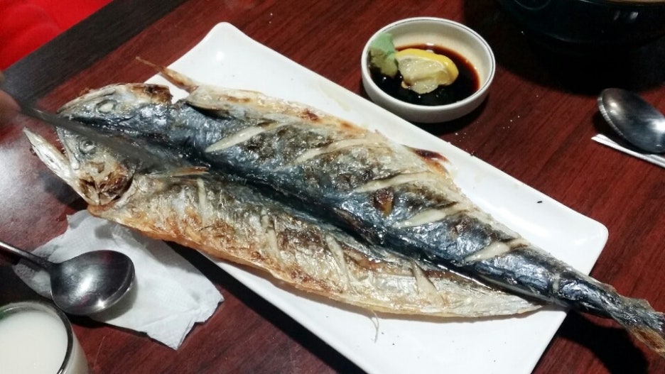 고양이와 와사비 이미지