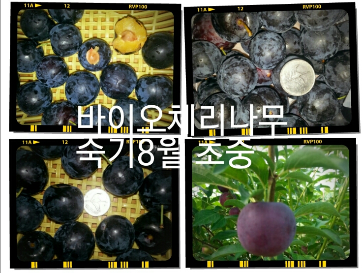 고향슈퍼 이미지