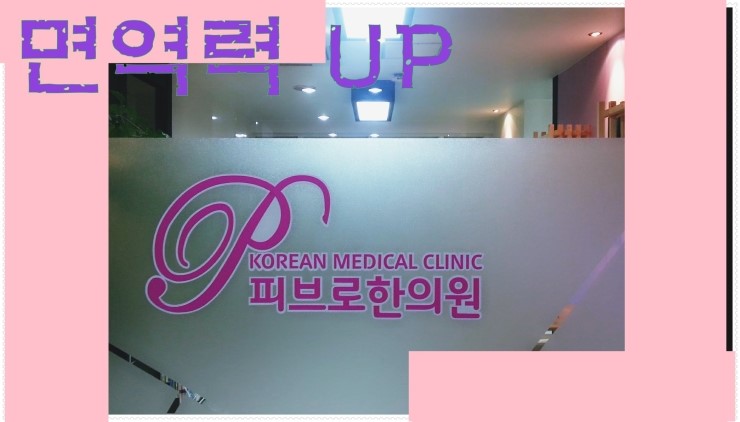 이야이야요 이미지
