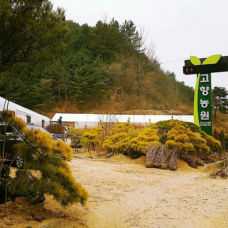고향매점 이미지