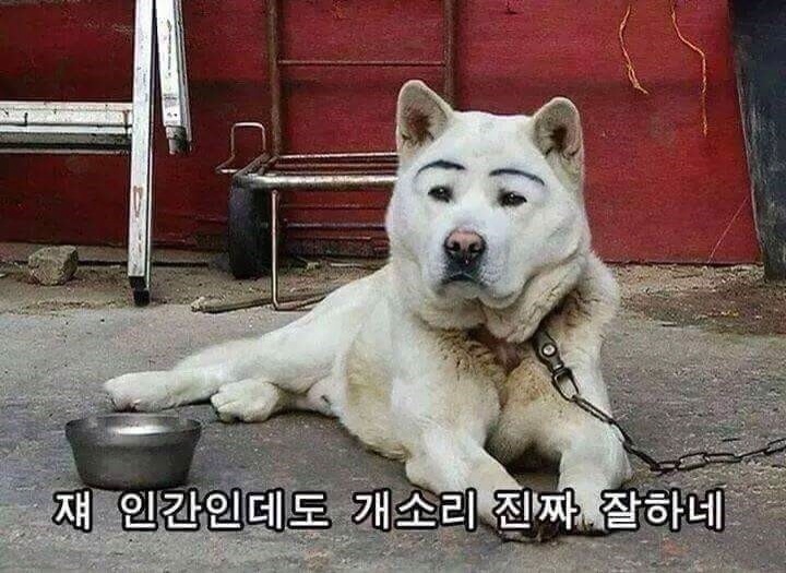 더블트리바이힐튼호텔 이미지