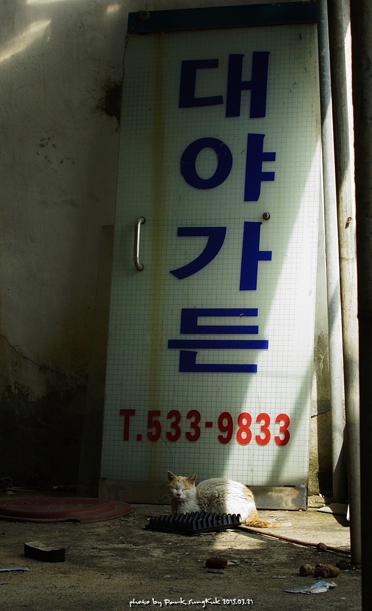 대야가든 이미지