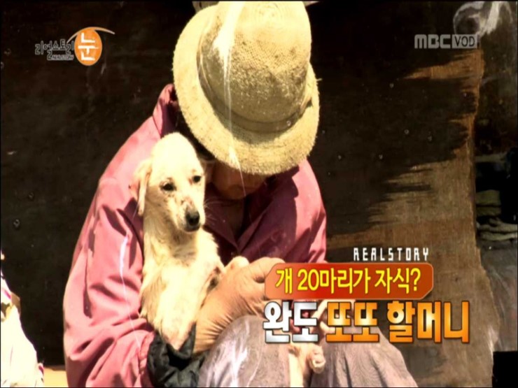 또또 이미지