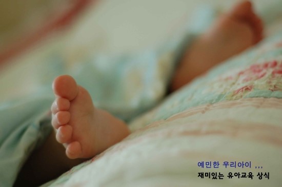 재미유아 이미지