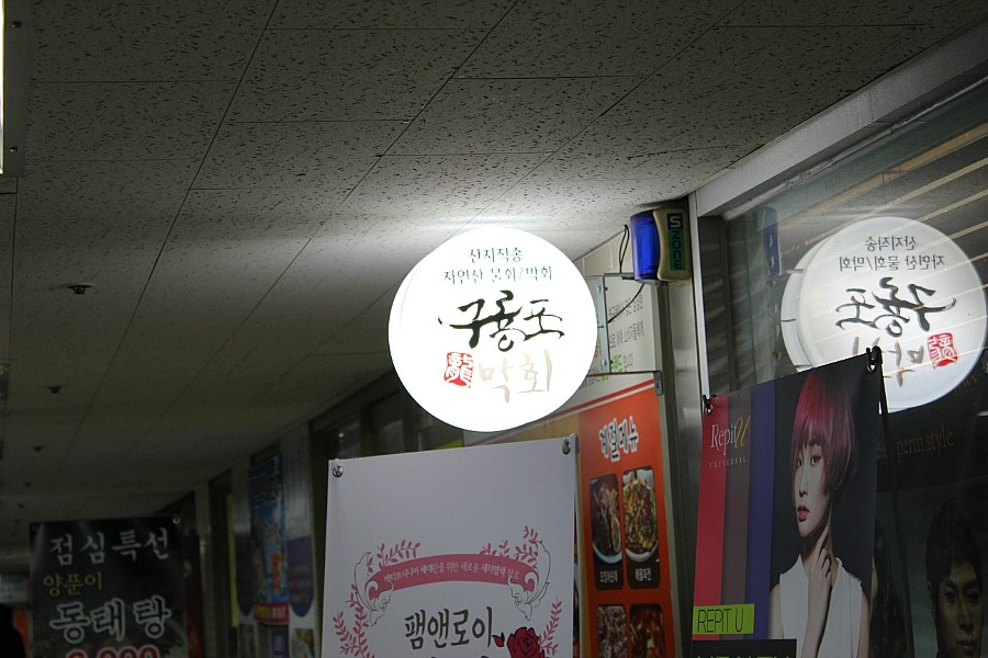 목동막회 이미지