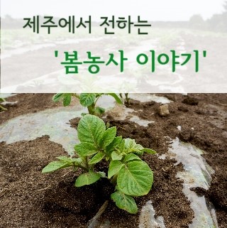 다울광고 이미지
