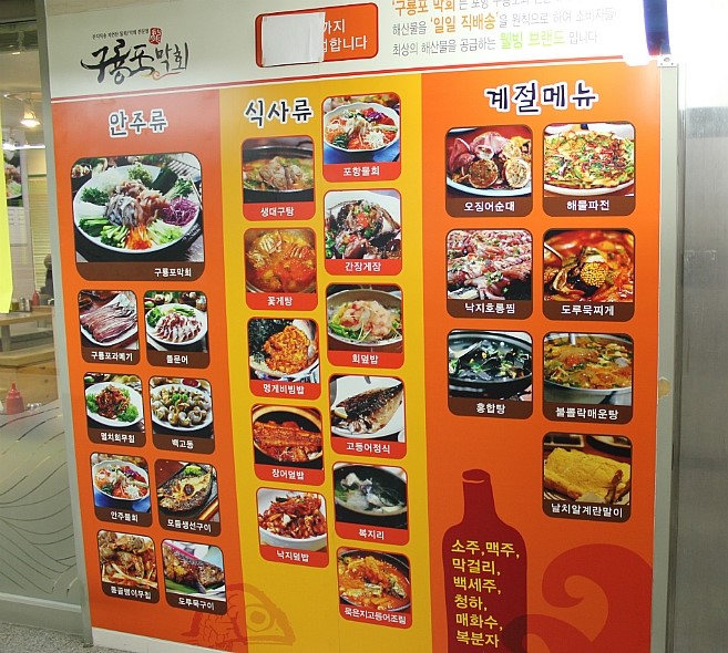 목동막회 이미지