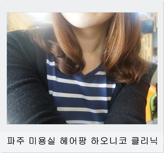 헤어팡 이미지