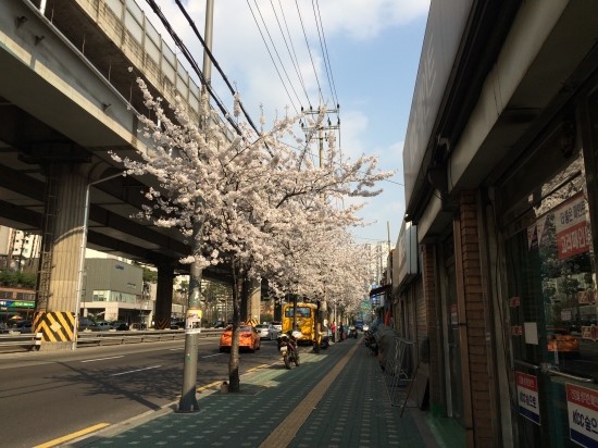 봄날한의원 이미지