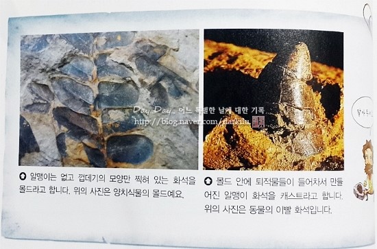 몰드와캐스트 이미지