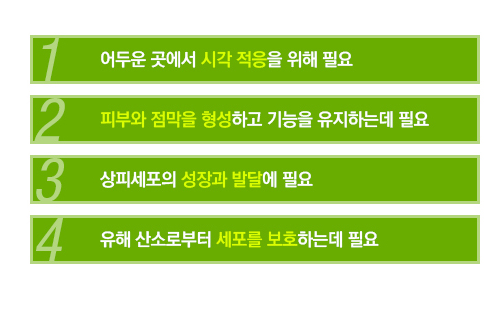 플로렉스 이미지