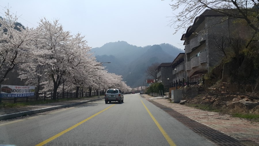 반선공용버스터미널 이미지