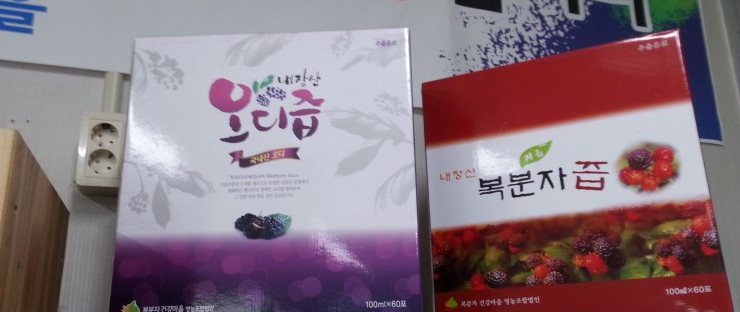 내장산 오디마을 이미지