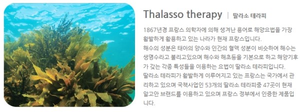 빛예인 이미지