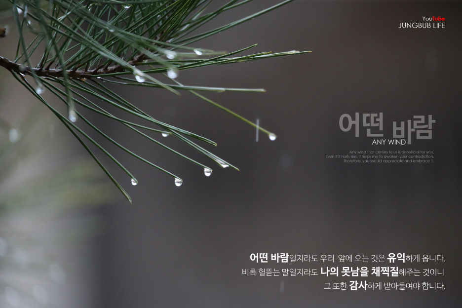 어떤바람 이미지