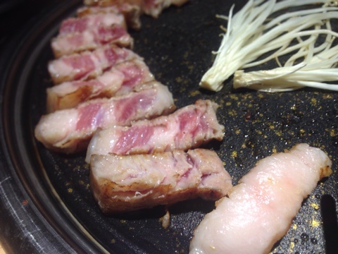 육육집 이미지