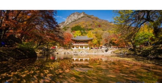 채은병 이미지