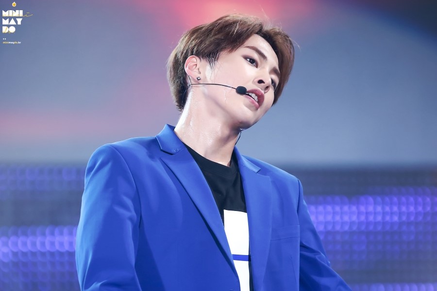 홀리슈 이미지