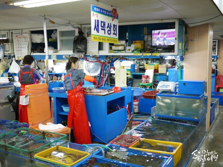 새댁상회 이미지