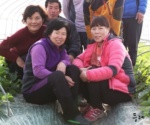 포항녹즙 이미지