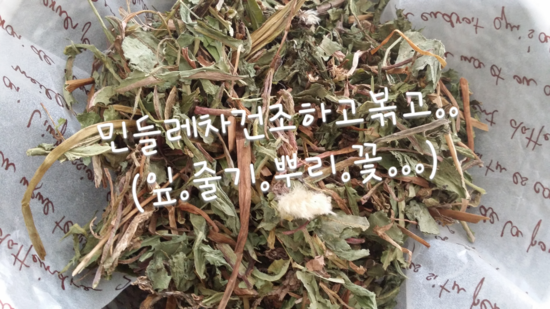 Tea story (티스토리) 이미지