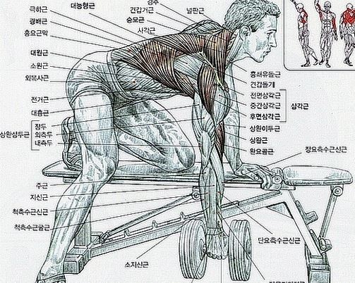 리얼바디짐 이미지