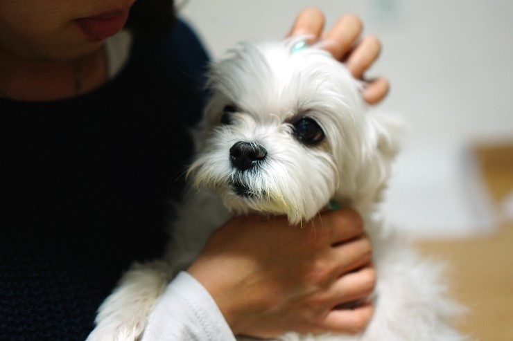 삼삼네일 이미지