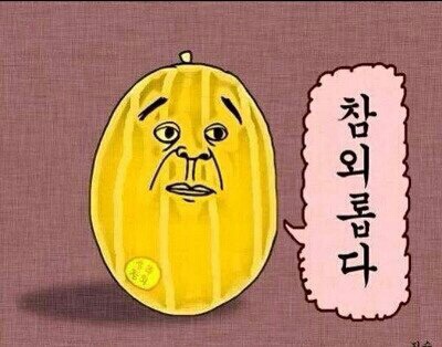 와대박 이미지