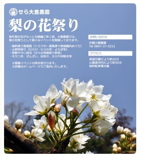 자이꽃농원 이미지