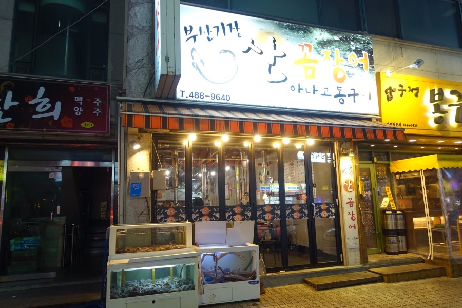 기장꼼장어 이미지