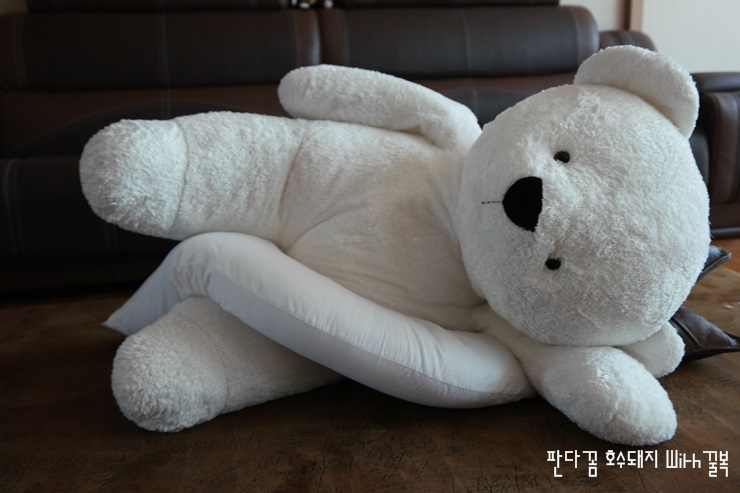 (주)지니드림 이미지