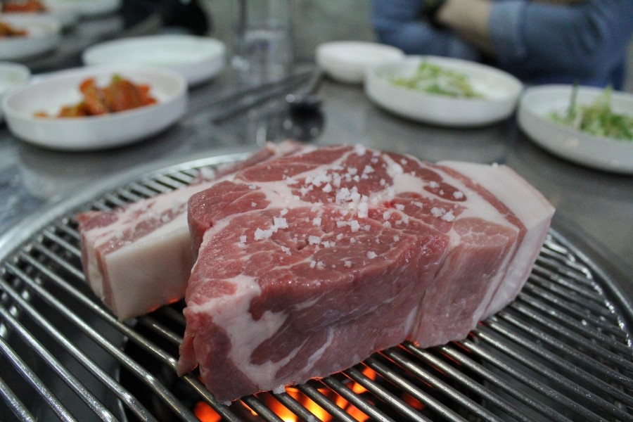 탐라도니 이미지