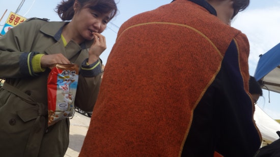 왕릉갈매기 이미지
