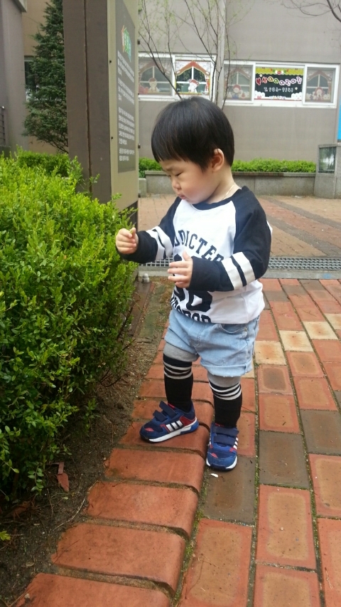라이크넷 이미지