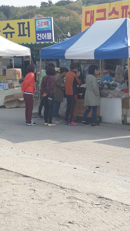 왕릉갈매기 이미지