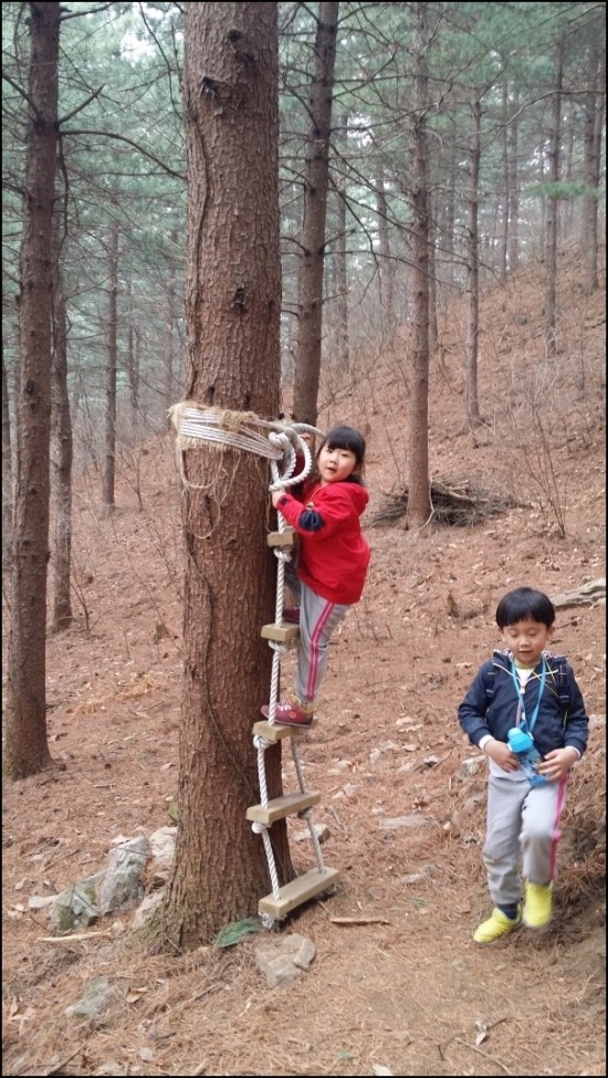 (주)풀향기 이미지