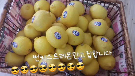 Tea story (티스토리) 이미지