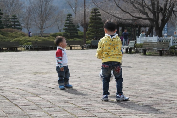 열린행정사사무소 이미지