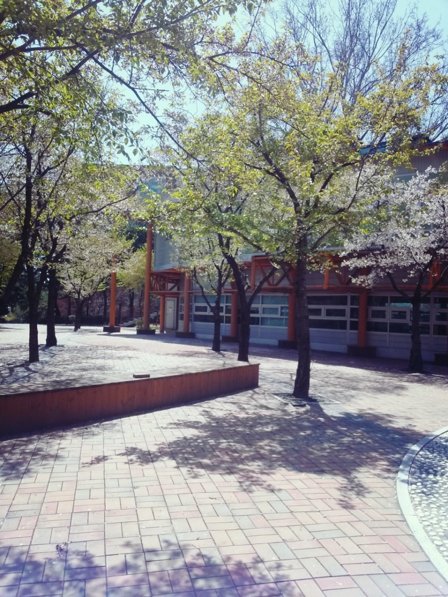 팝콘노래광장 이미지