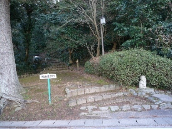 대산나무병원 이미지