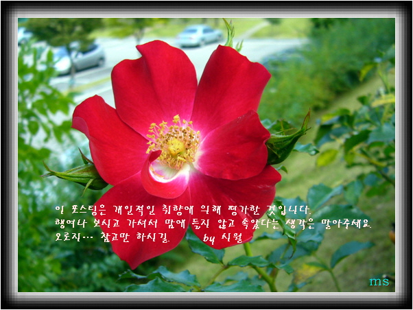 대감보쌈 이미지