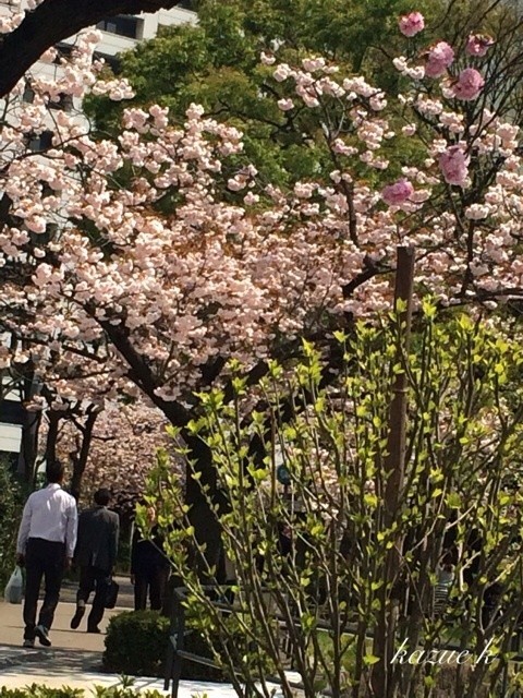 호레보레 이미지
