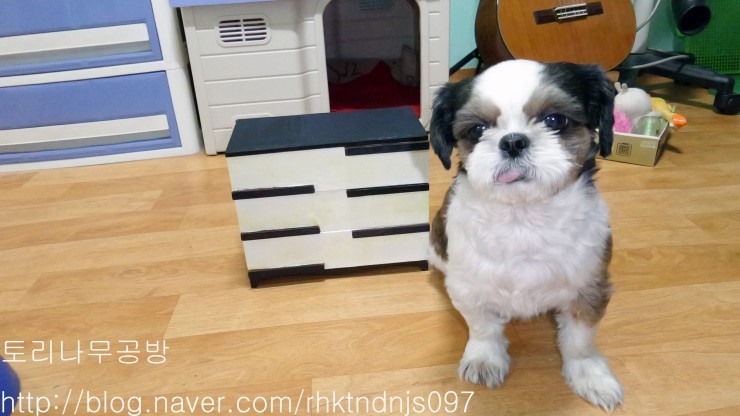 나무와토리공방 이미지