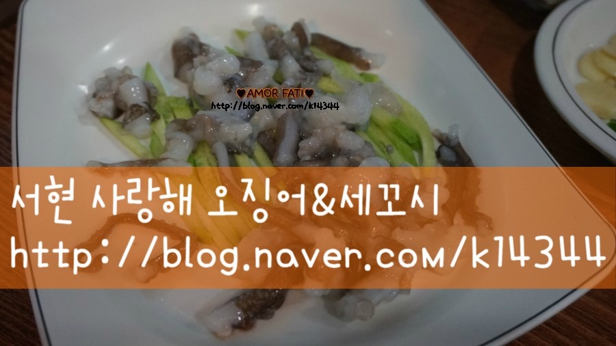 오징어와세꼬시 이미지