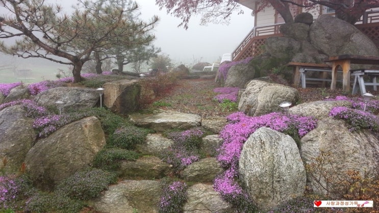 정다운농원 이미지