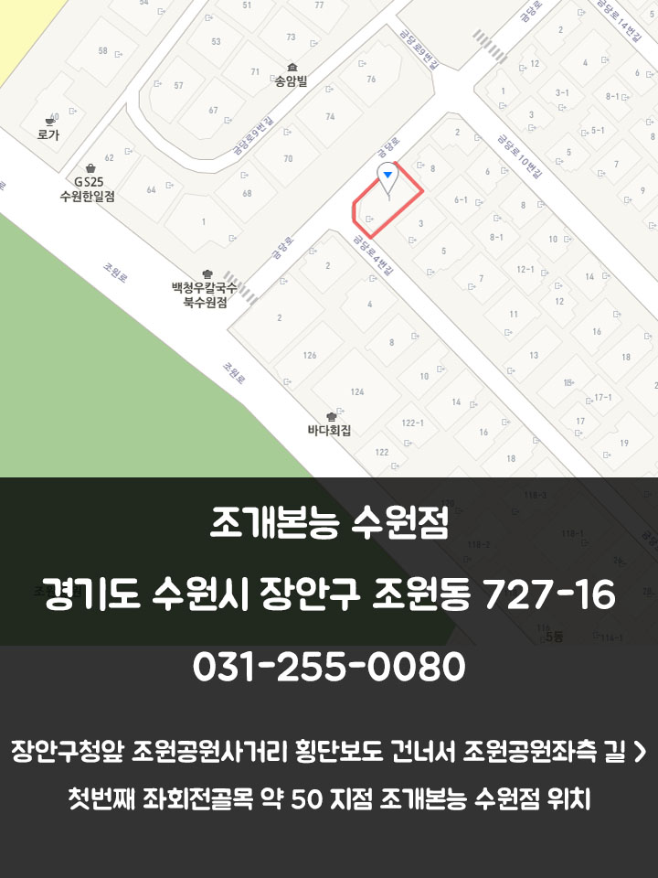 조개본능 이미지