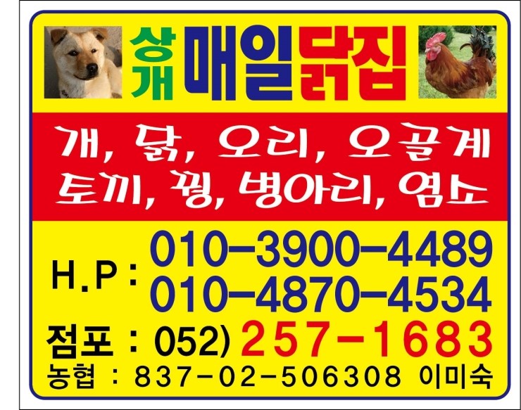 매일닭집 이미지
