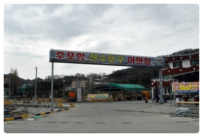 연백호 이미지