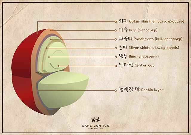트라이앵글커피 이미지